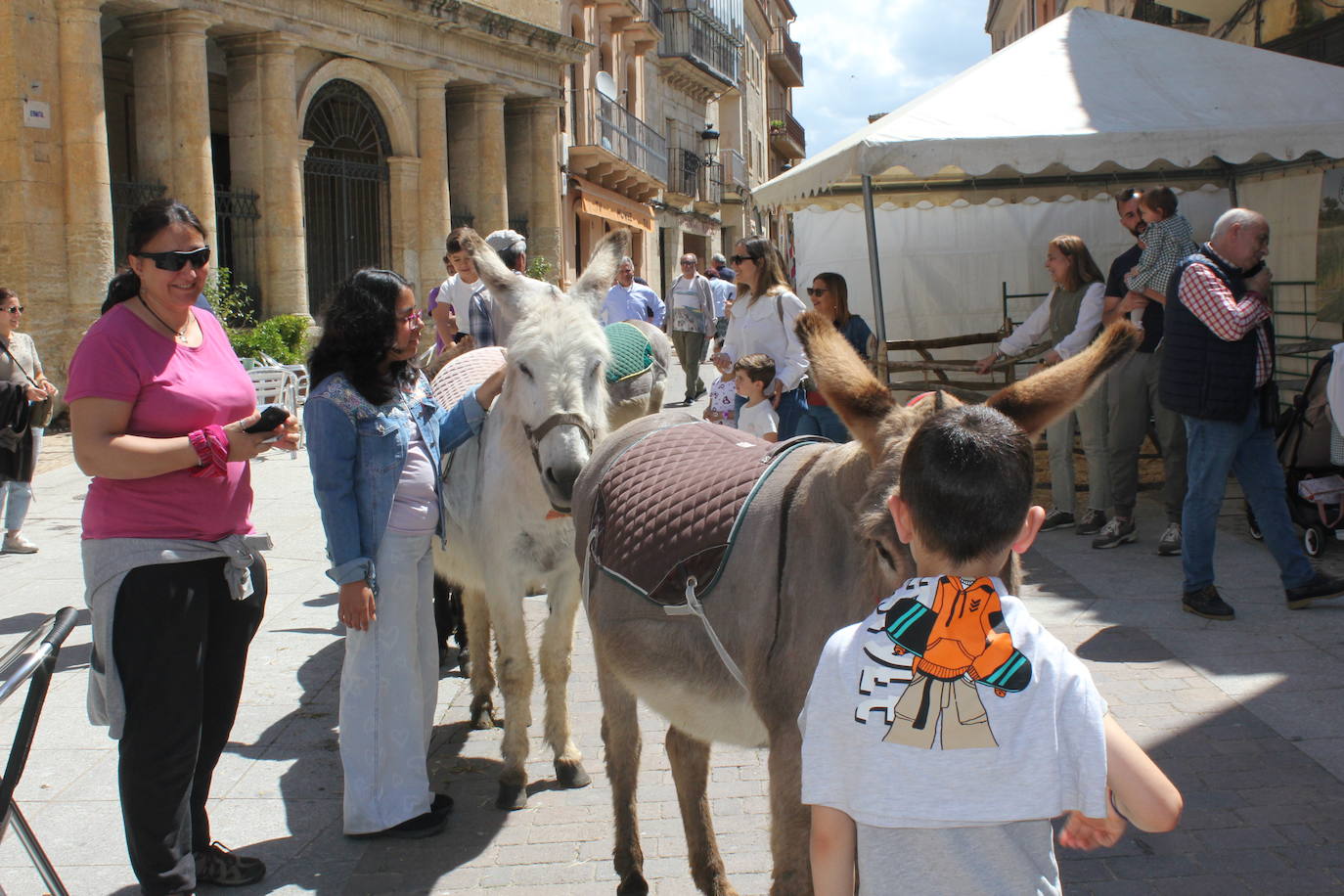 Ciudad Rodrigo se viste de sabor local y ganadería en la IV Feria del Farinato