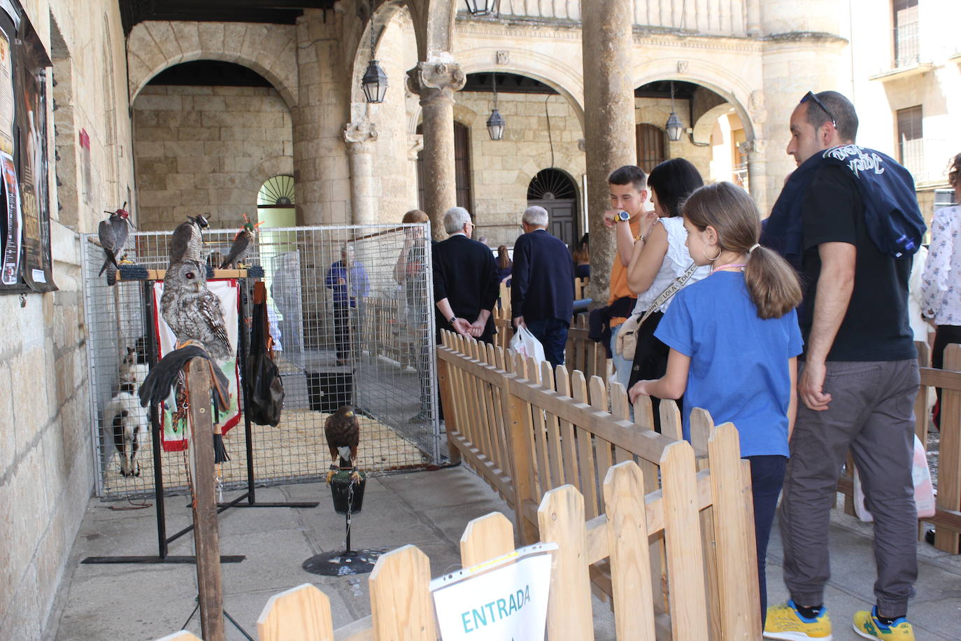 Ciudad Rodrigo se viste de sabor local y ganadería en la IV Feria del Farinato
