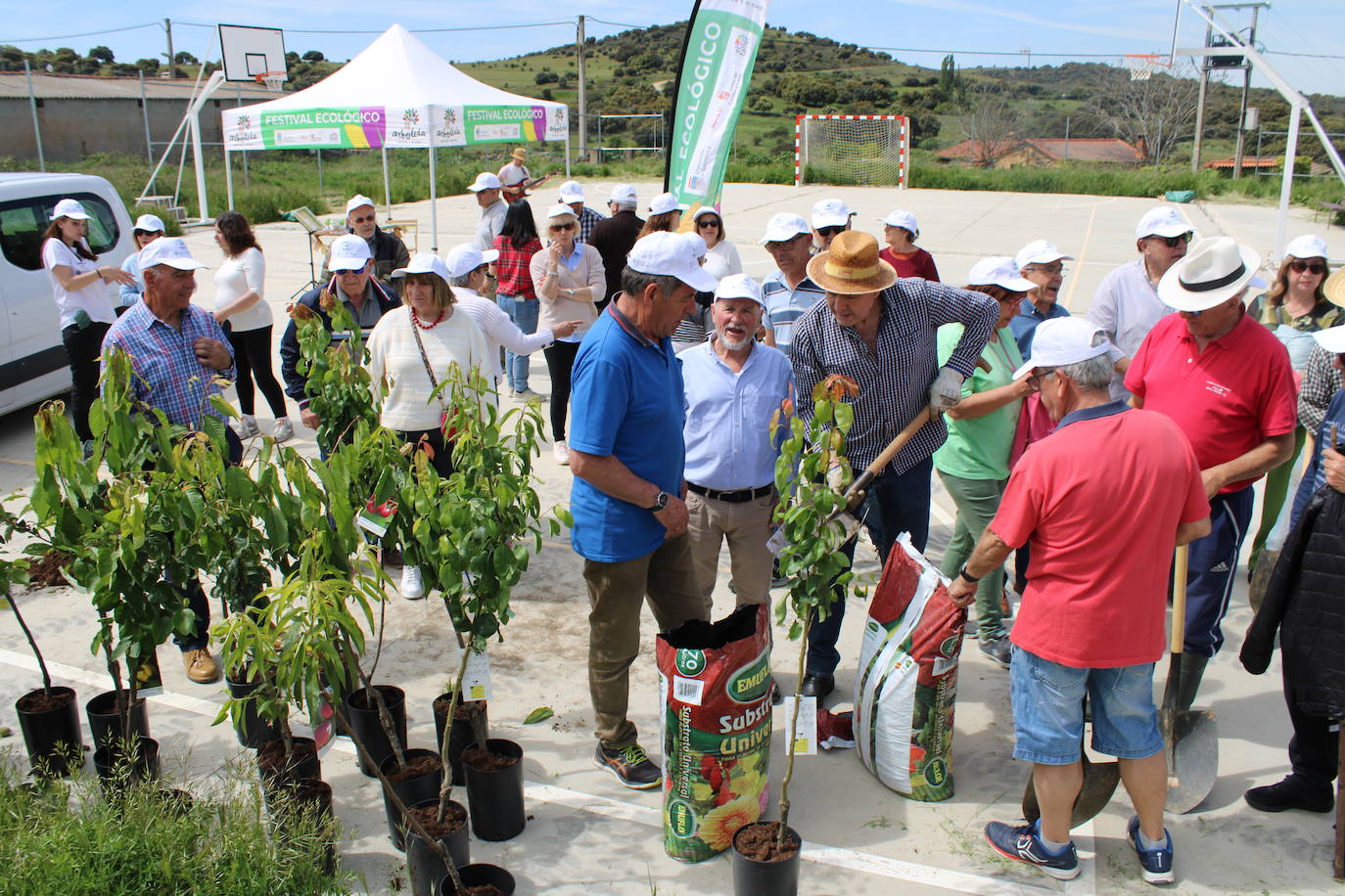 Gallegos de Solmirón se suma a la plantación de árboles