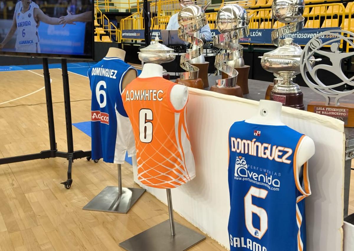 Imagen secundaria 1 - Silvia Domínguez, leyenda del Perfumerías Avenida y del deporte salmantino, anuncia su retirada