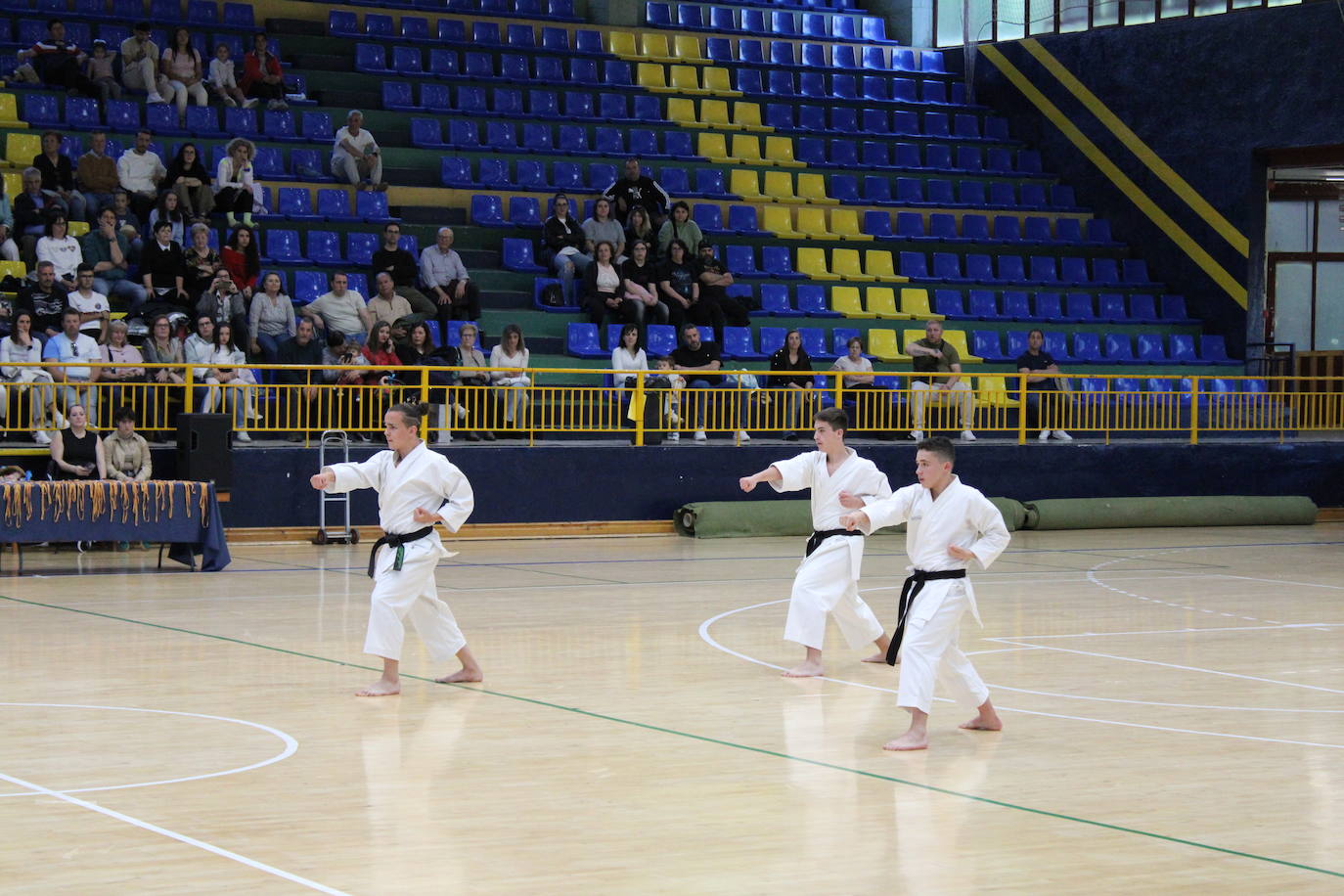Baile y kárate en el pabellón municipal de Béjar