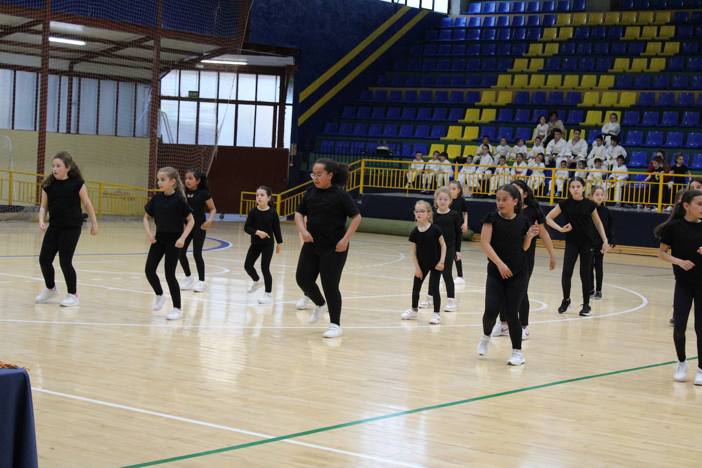 Baile y kárate en el pabellón municipal de Béjar