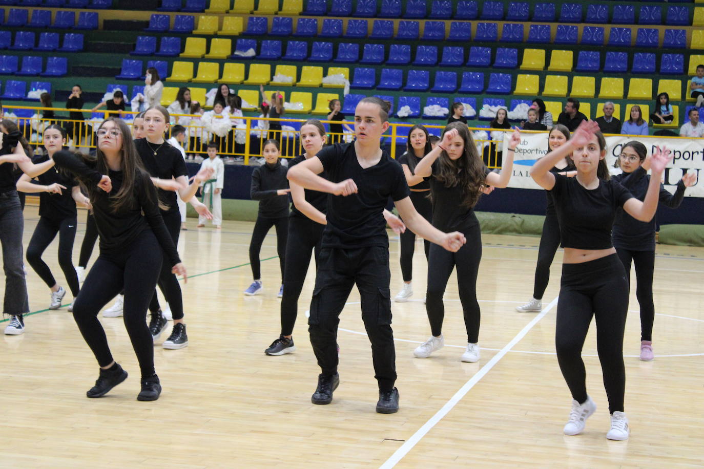 Baile y kárate en el pabellón municipal de Béjar