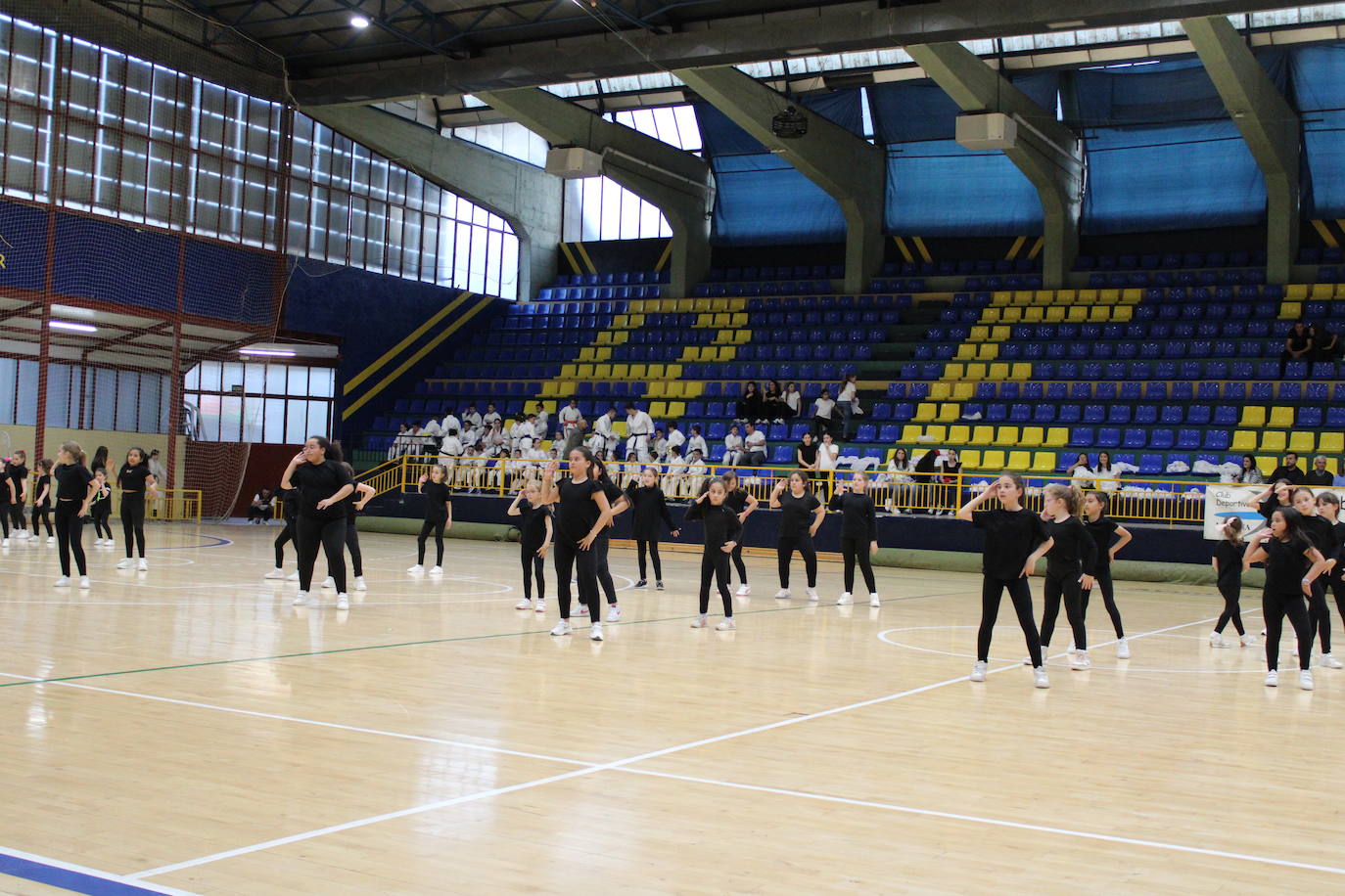 Baile y kárate en el pabellón municipal de Béjar