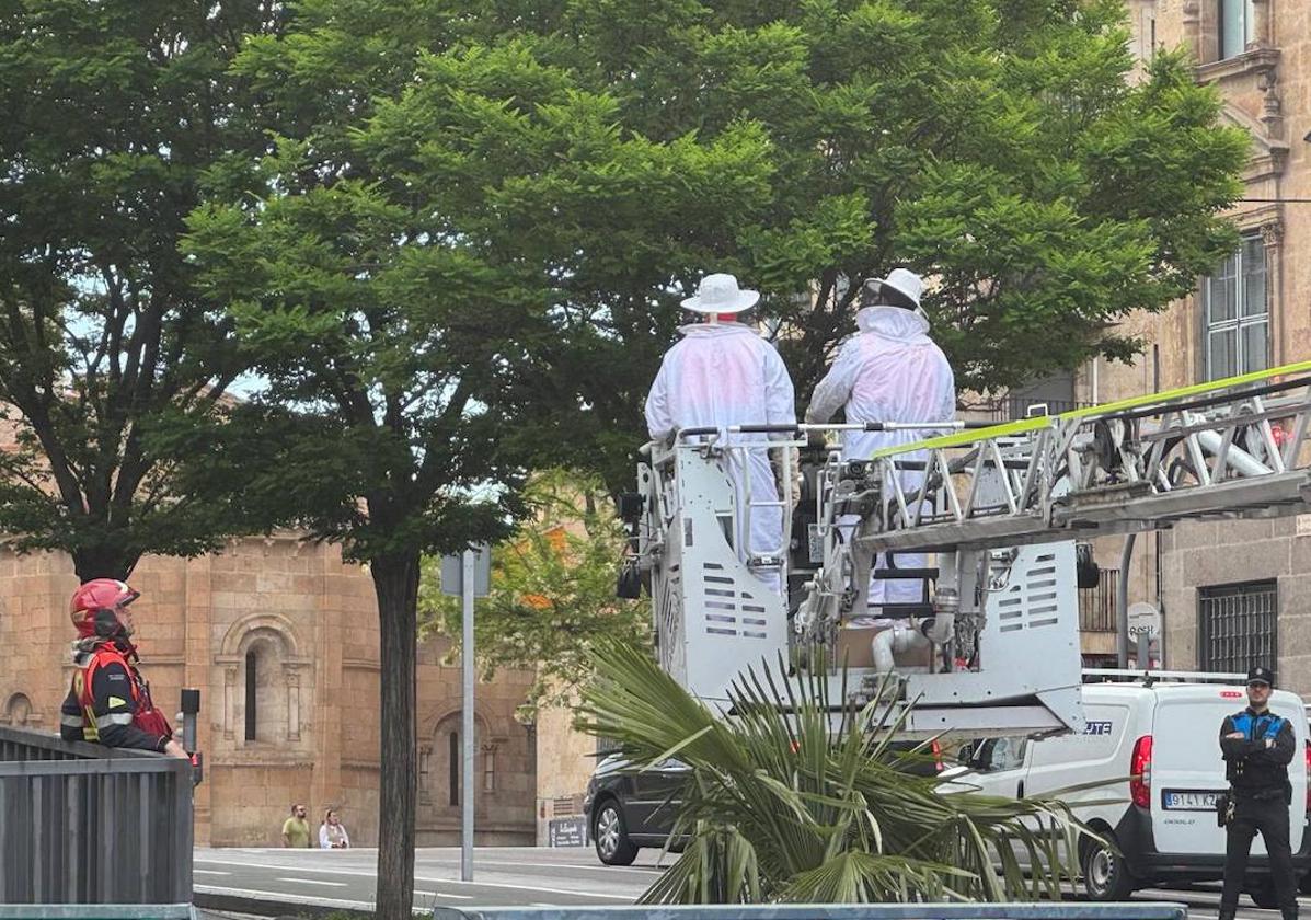 Los Bomberos se movilizan por un enjambre de abejas en la calle Jardines