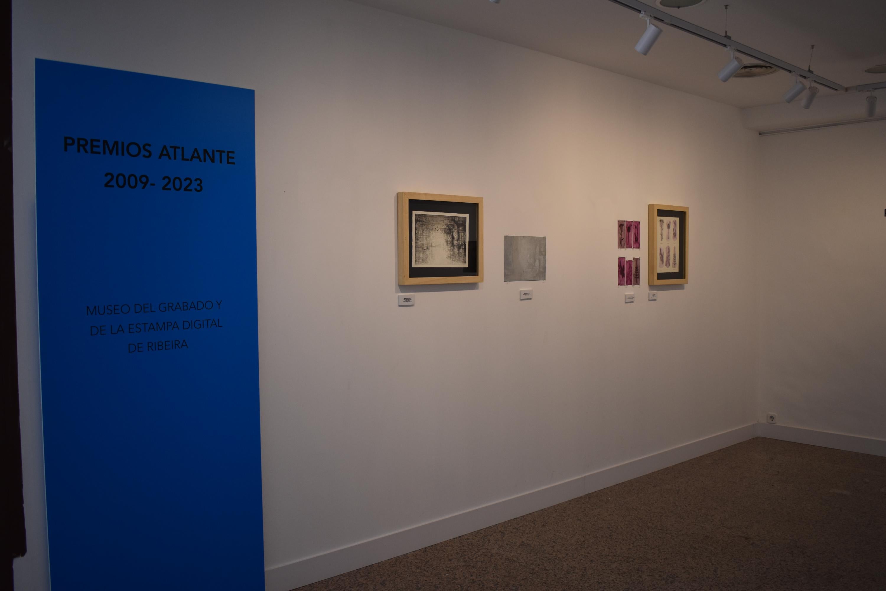 Santa Marta de Tormes reúne las mejores obras del grabado del siglo XXI en una gran exposición