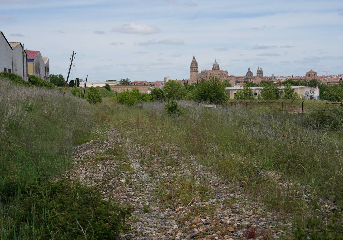 Antiguo trazado de la línea de la Ruta de la Plata, ya sin vías ni traviesas.