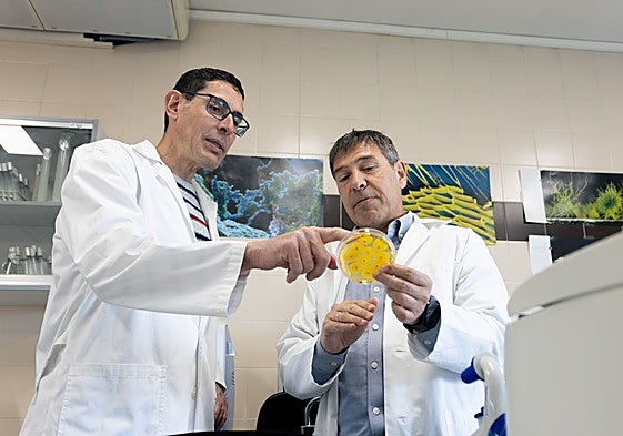 Rubén Jiménez y Alberto Jiménez.