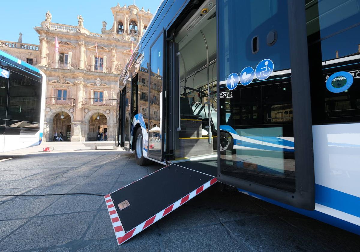 Autobuses que rompen récords de usuarios y siempre accesibles