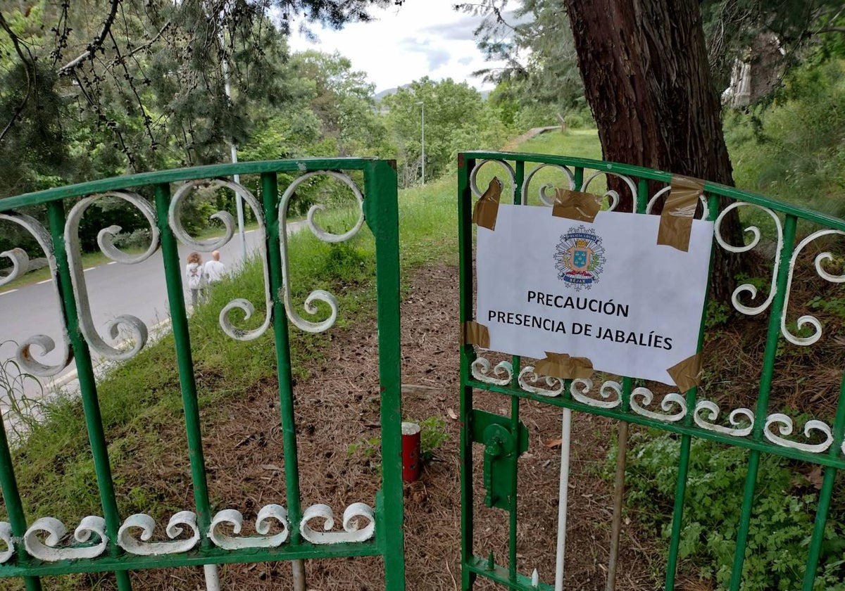 La captura de jabalíes en la provincia se triplica en apenas una década