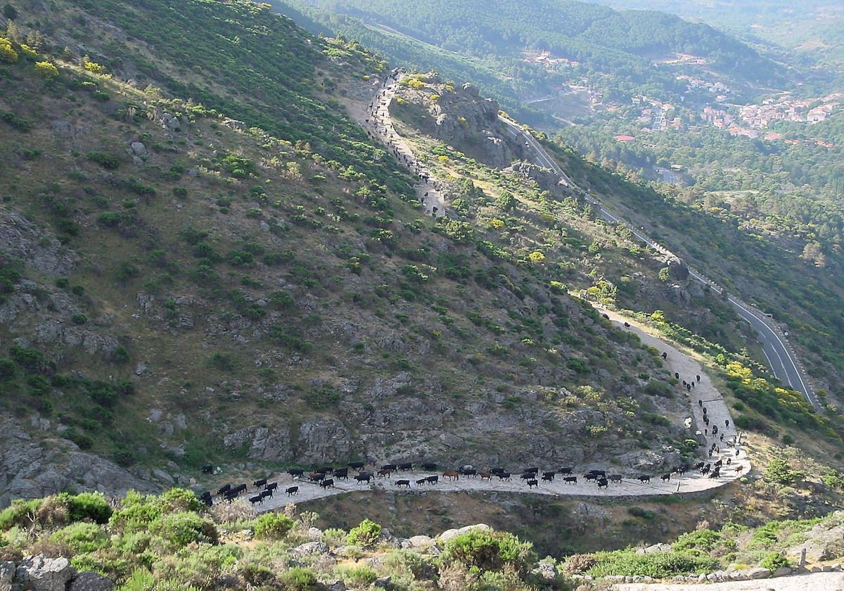 Un punto de Castilla y León registra la temperatura más baja de España este domingo