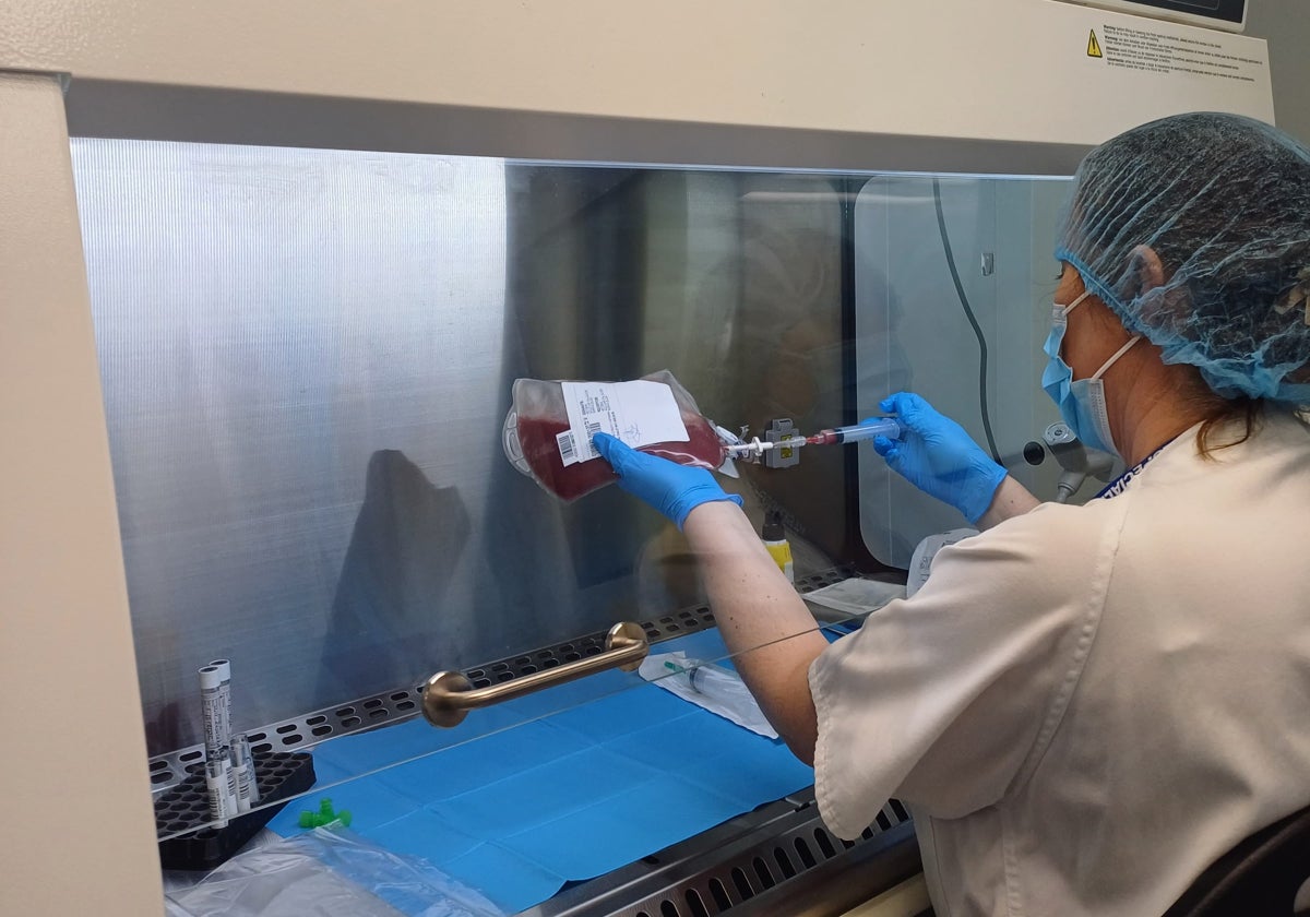 Estrella Arnes realiza su trabajo en el Hospital de Salamanca.