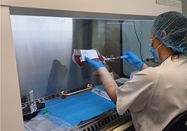 Estrella Arnes realiza su trabajo en el Hospital de Salamanca.