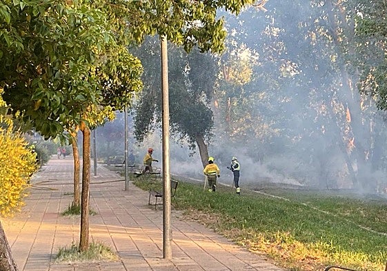 Imagen del incendio de La Aldehuela.