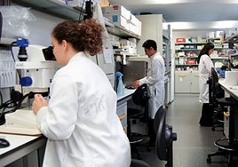 Investigadores de un grupo de la Universidad.