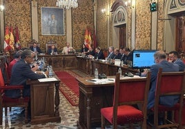 Imagen del pleno de la Diputación celebrado en la mañana de este viernes, 30 de mayo.