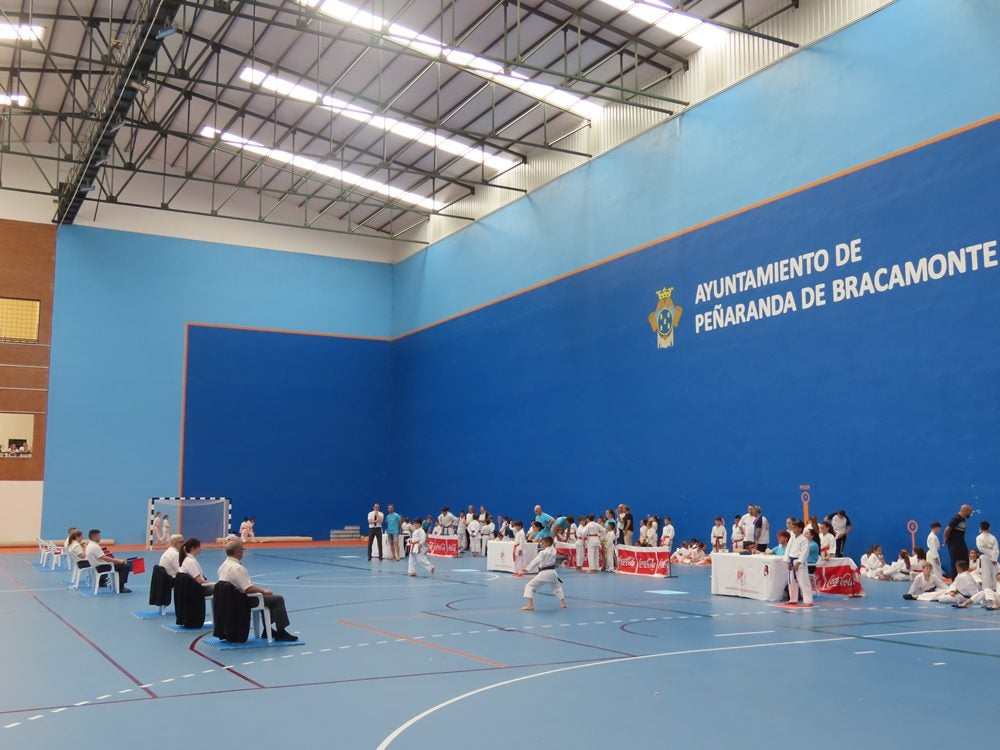 Más de 300 karatecas en Peñaranda