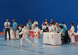 Más de 300 karatecas en Peñaranda