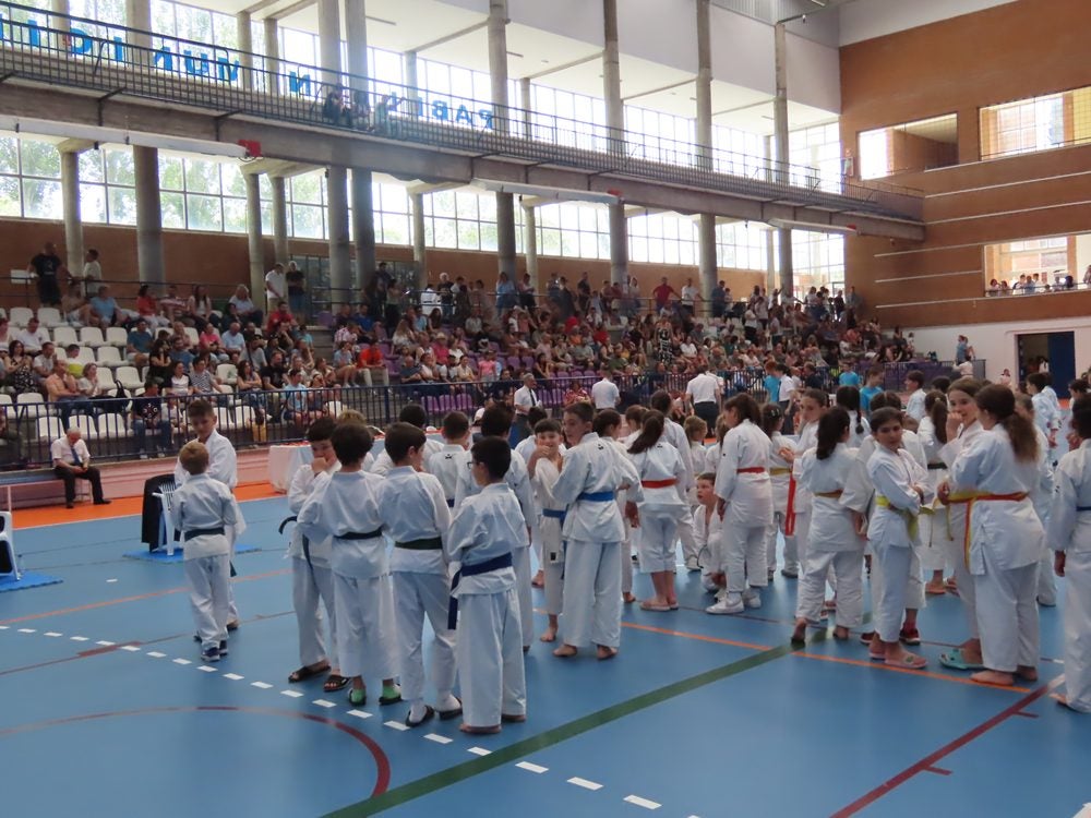 Más de 300 karatecas en Peñaranda
