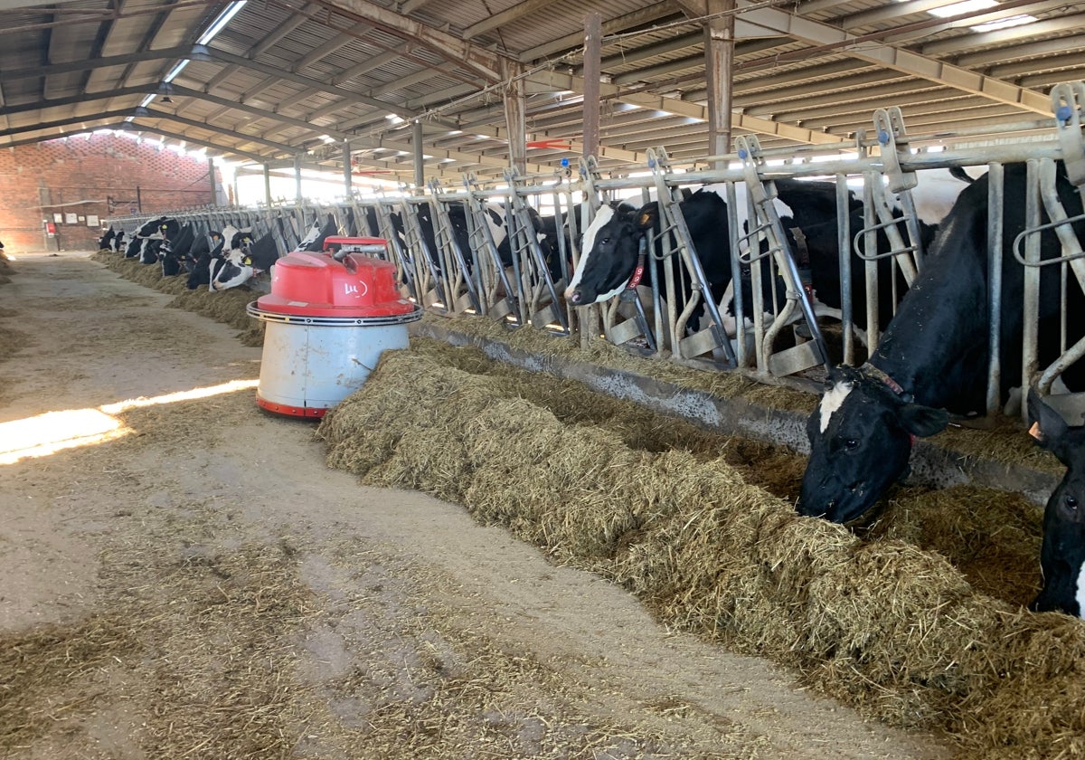 Cara y cruz con el precio de la leche