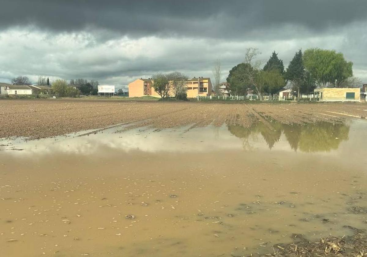 Imagen de un terreno afectado por las lluvias.
