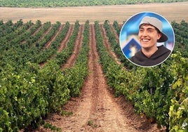Imagen de Plex en un terreno de Toro.
