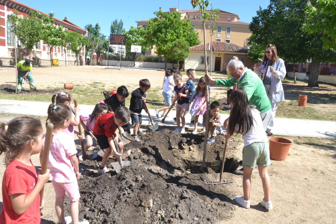Ciudad Rodrigo celebra una multitudinaria plantación de árboles