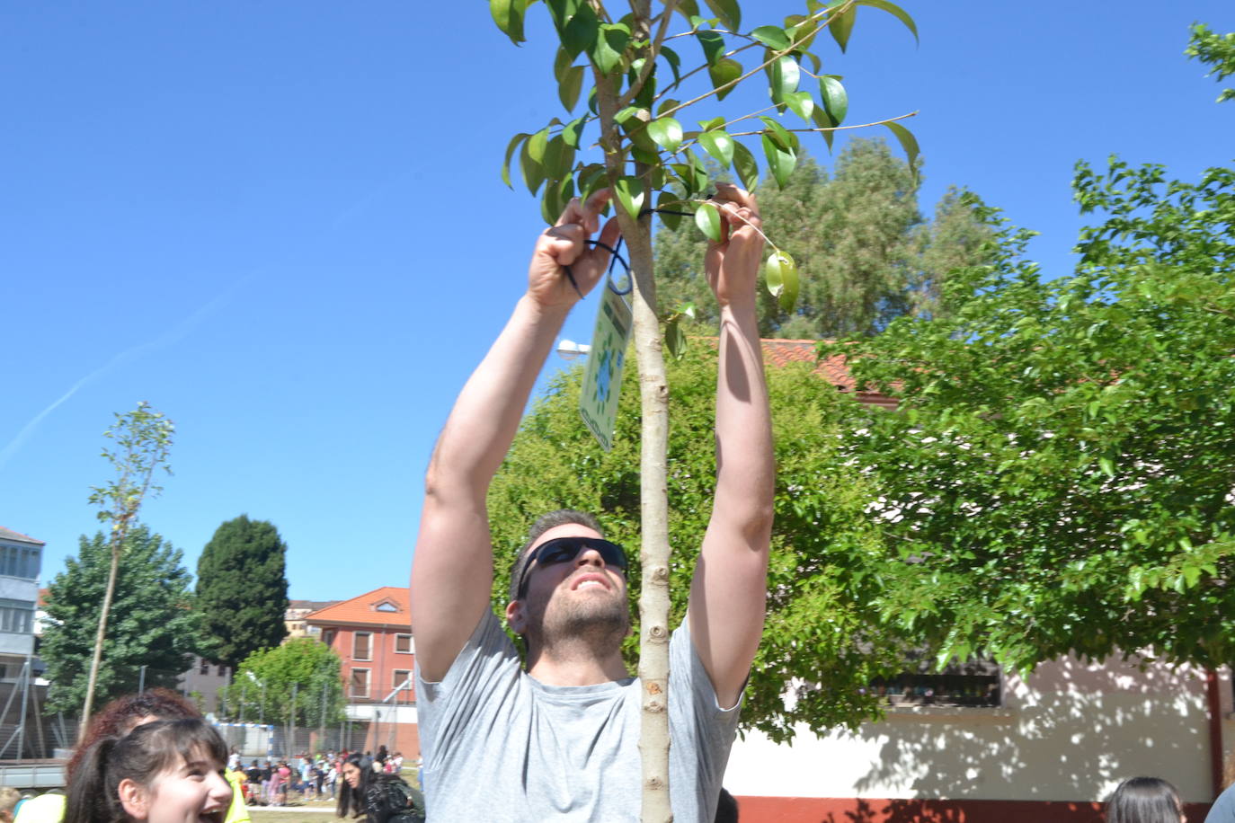 Ciudad Rodrigo celebra una multitudinaria plantación de árboles