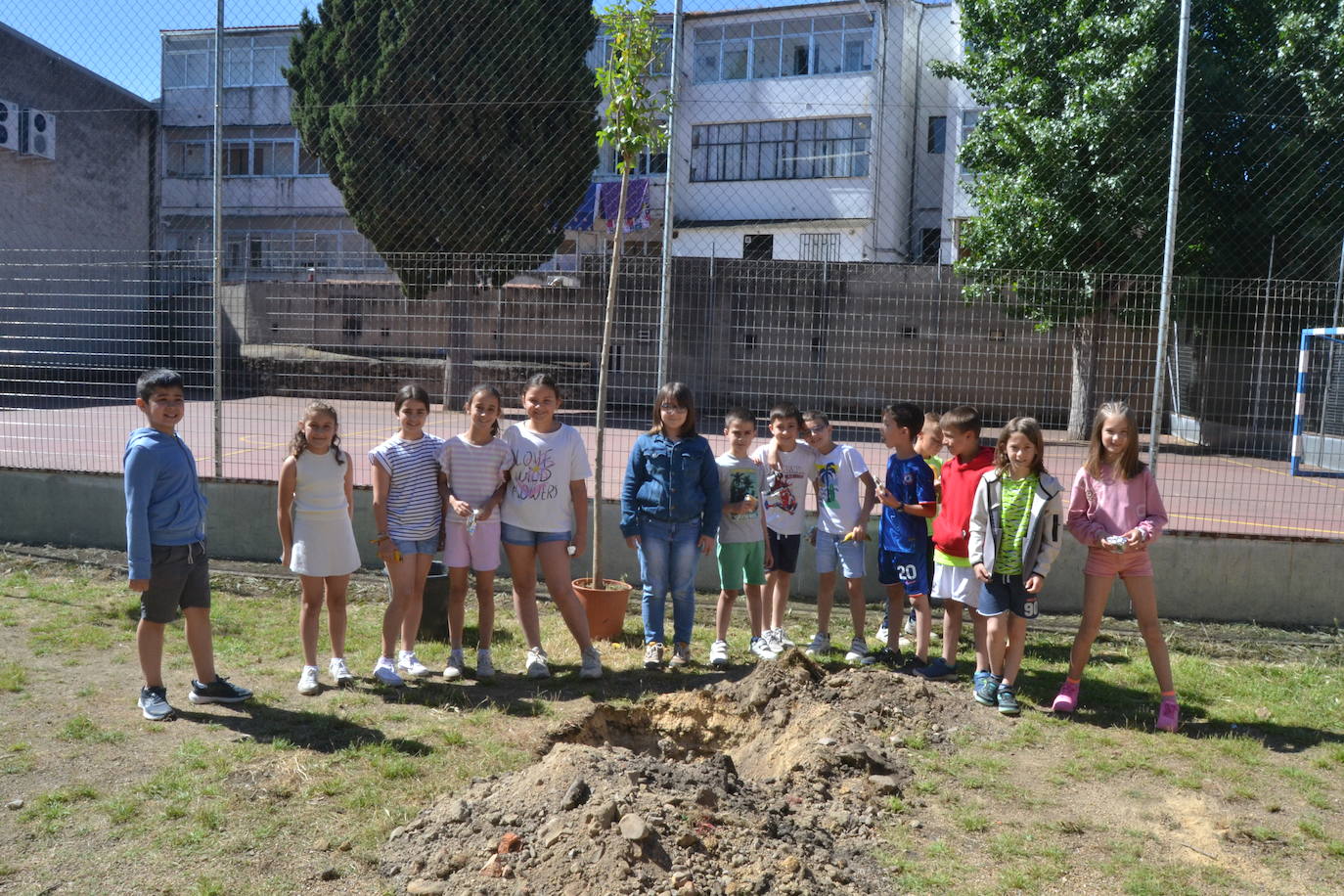 Ciudad Rodrigo celebra una multitudinaria plantación de árboles