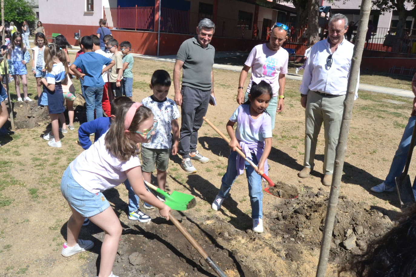 Ciudad Rodrigo celebra una multitudinaria plantación de árboles