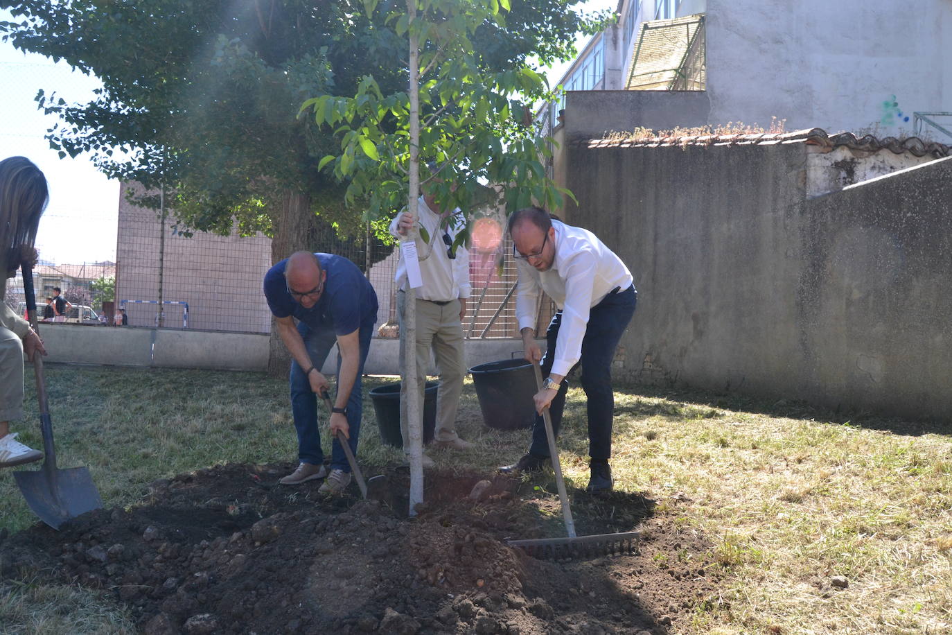 Ciudad Rodrigo celebra una multitudinaria plantación de árboles
