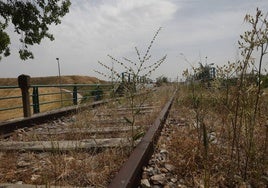 Tramo de la antigua vía Ruta de la Plata.