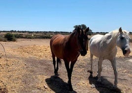 El refrán de las cabañuelas anuncia lo que nos espera esta semana: «Si llueve por San Medardo y San Bernabé no le para los pies...»