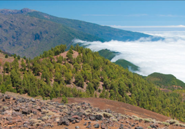 Imagen de La Palma.
