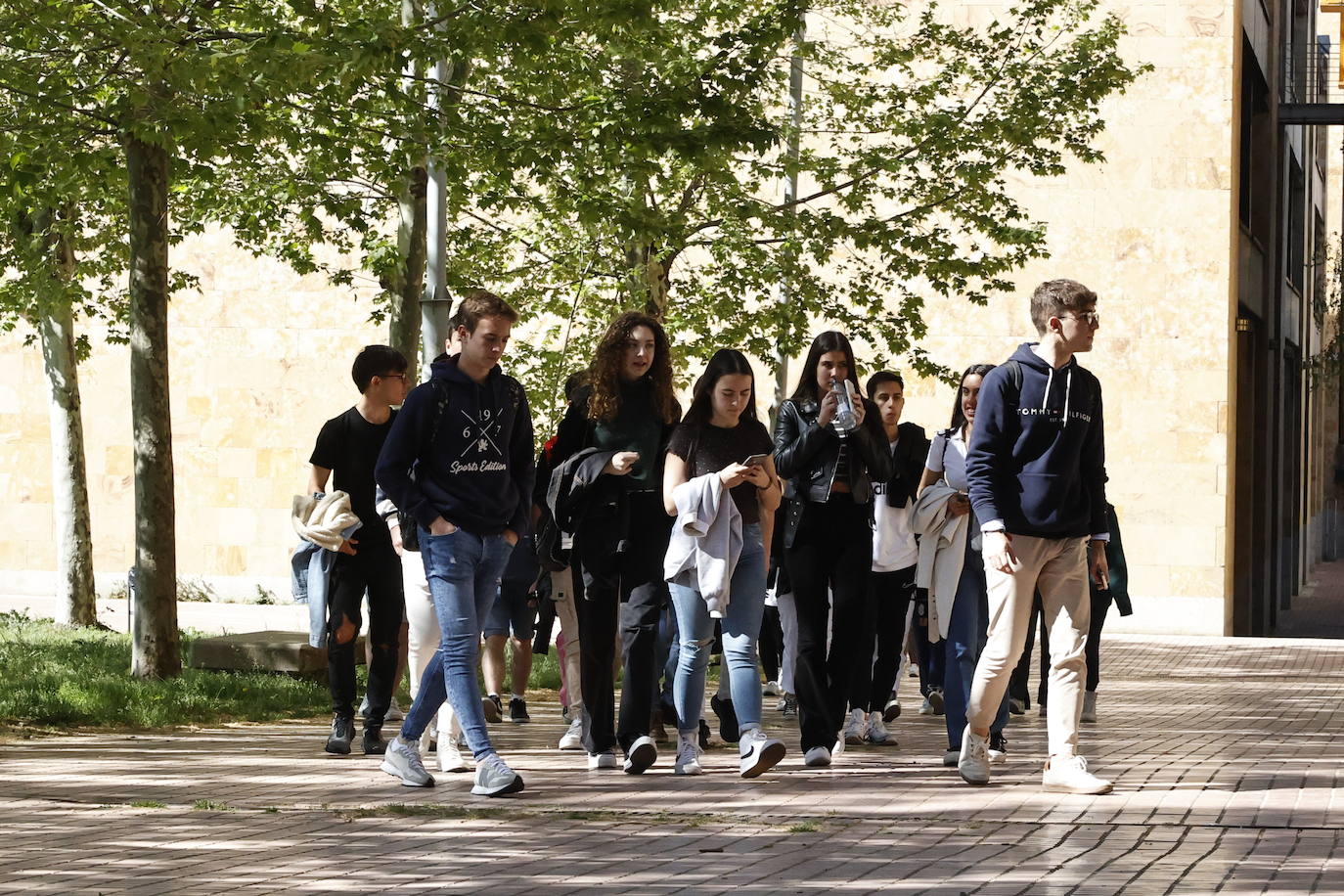 Acuerdo para incorporar Actividad Física y Salud como optativa en 2º de Bachillerato en 2026-27 que rechaza el PP