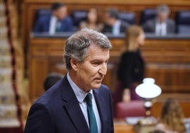 El lider de la oposición y presidente del PP, Alberto Núñez Feijóo.