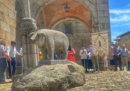 El marrano tras ser bendecido en La Alberca