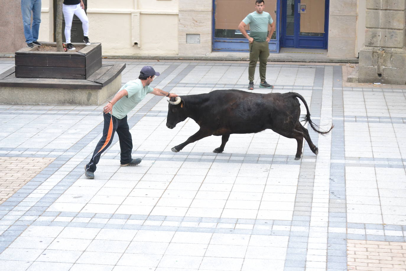 ‘Músico’ saca brillo al IX Toro de Cajón de Vitigudino