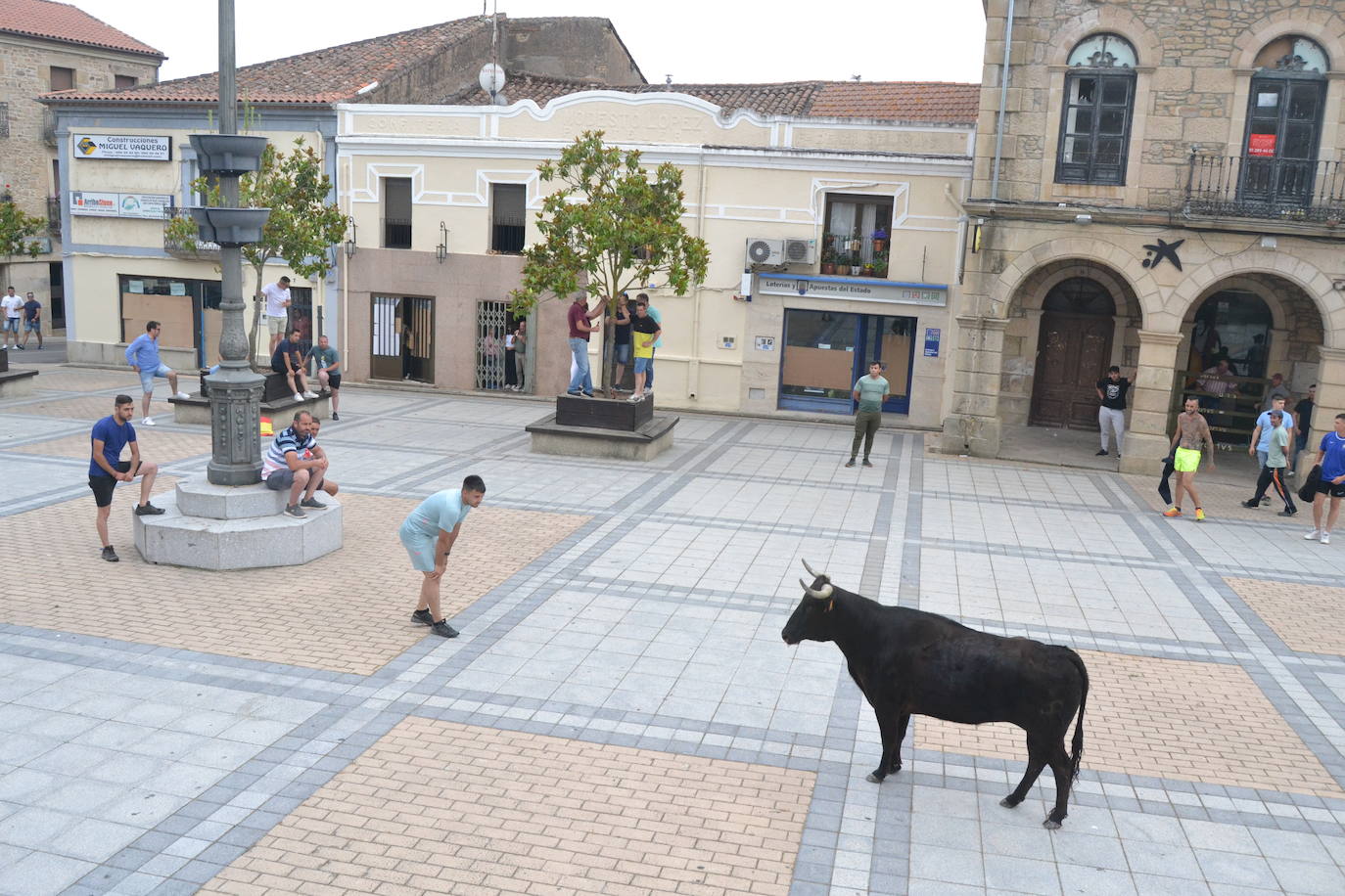 ‘Músico’ saca brillo al IX Toro de Cajón de Vitigudino