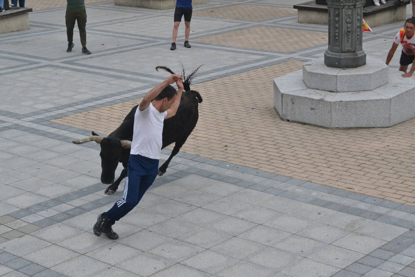 ‘Músico’ saca brillo al IX Toro de Cajón de Vitigudino