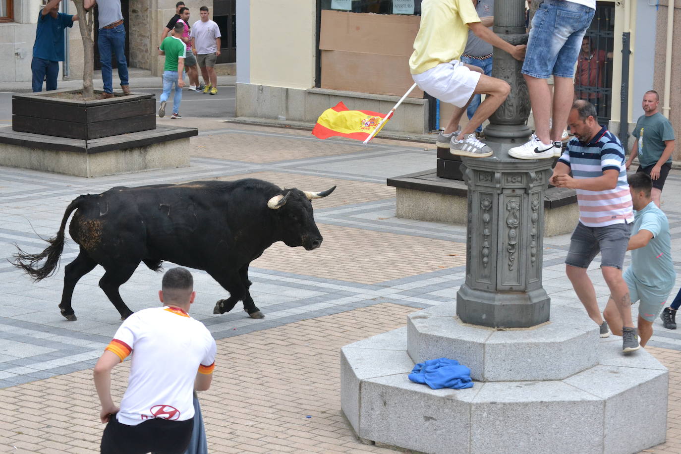 ‘Músico’ saca brillo al IX Toro de Cajón de Vitigudino