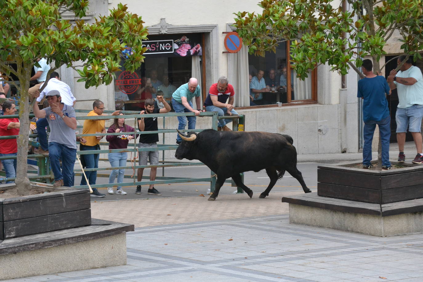‘Músico’ saca brillo al IX Toro de Cajón de Vitigudino