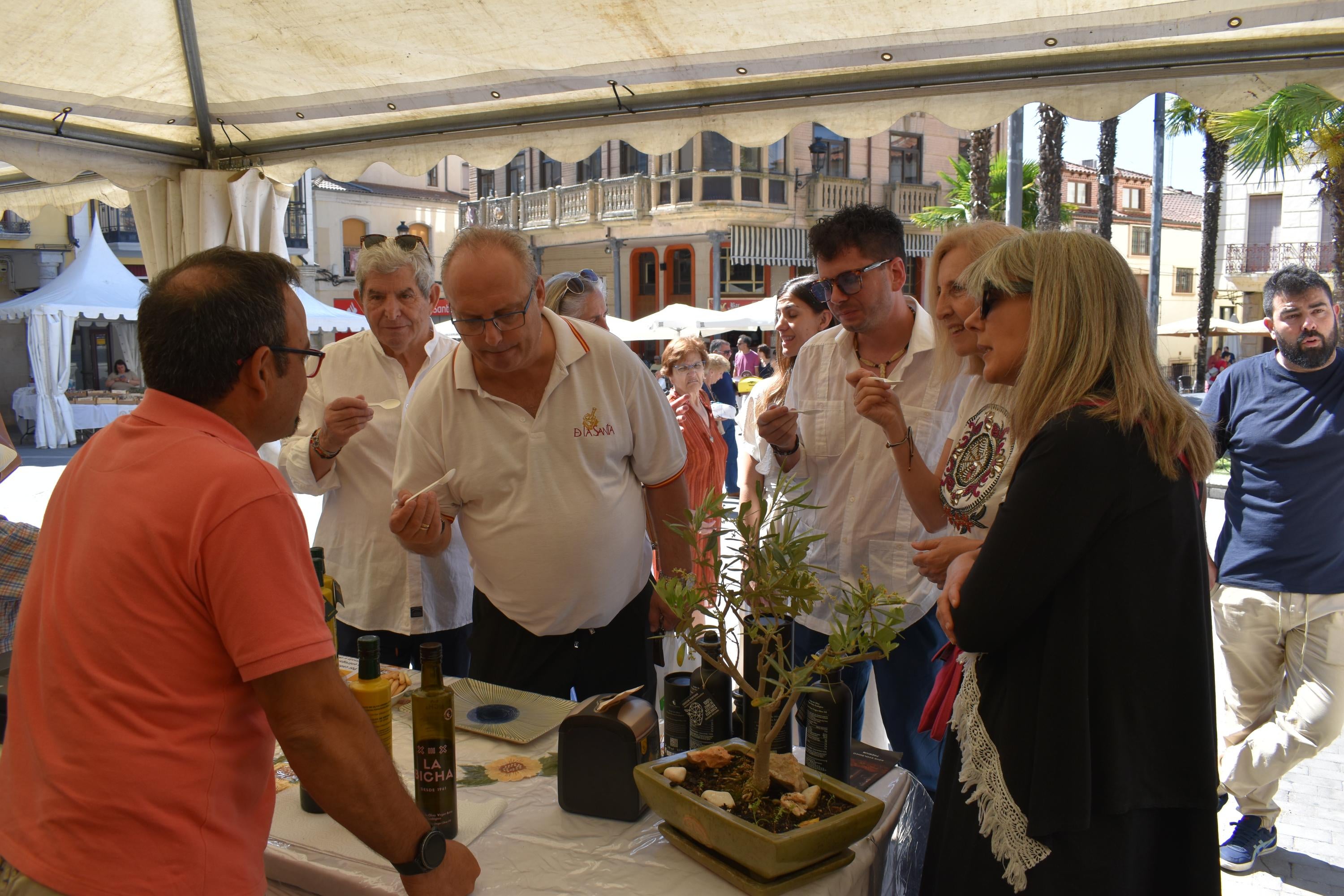 Sin animales, pero con esencia en la Feria de San Antonio de Alba de Tormes