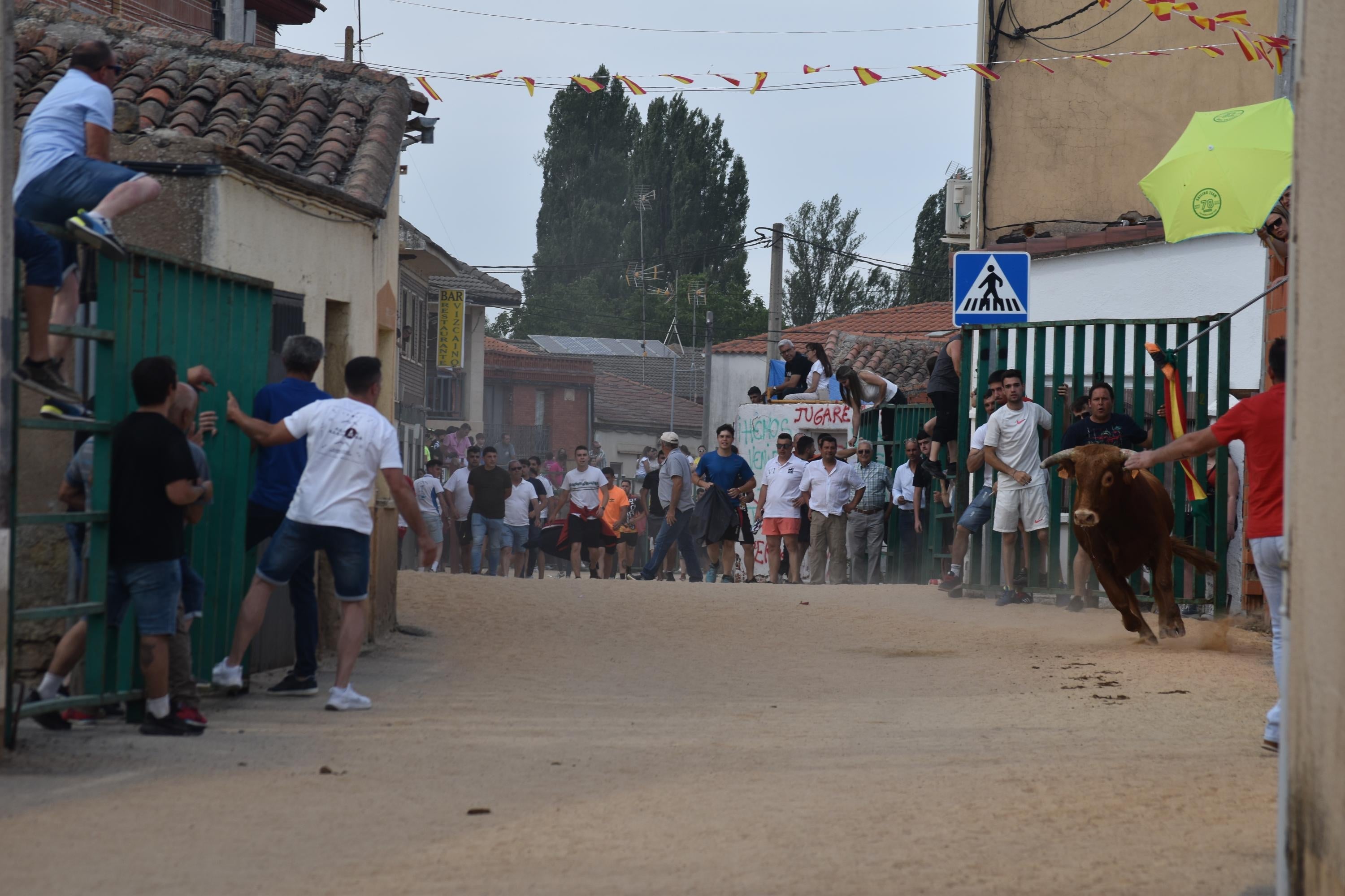 Pasión taurina en Topas antes de cerrar las fiestas en honor a San Antonio