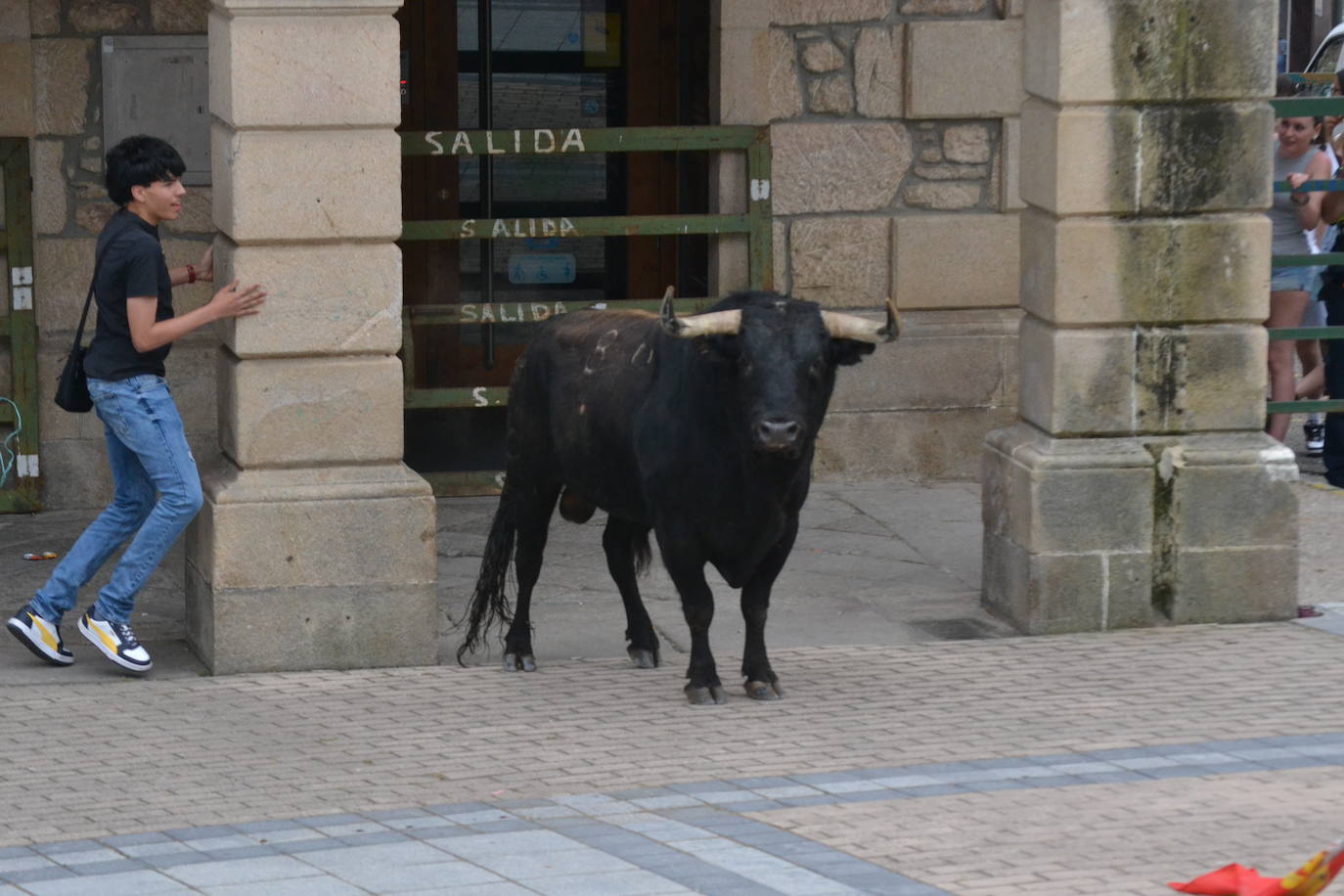 ‘Músico’ saca brillo al IX Toro de Cajón de Vitigudino