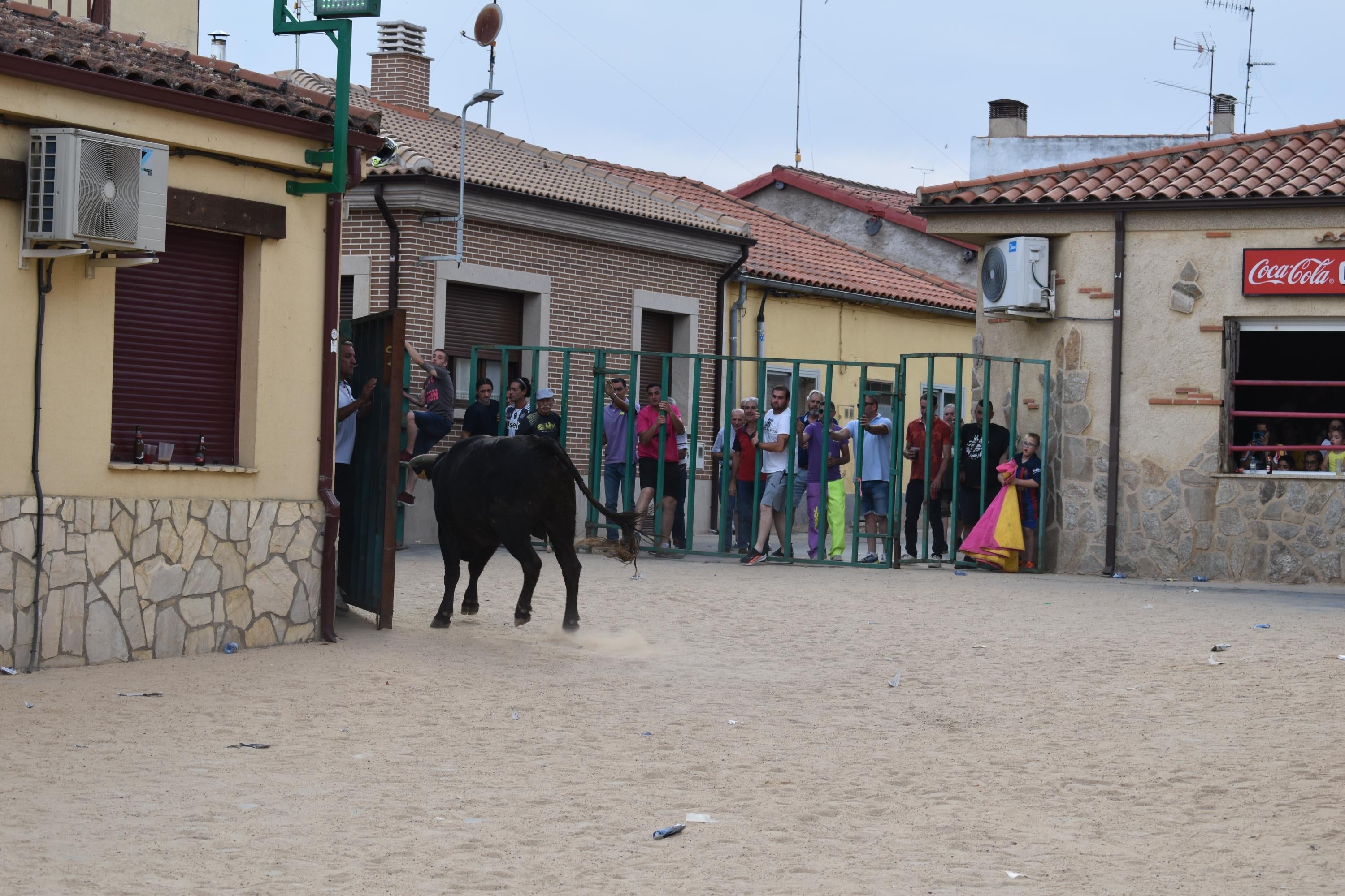 Pasión taurina en Topas antes de cerrar las fiestas en honor a San Antonio