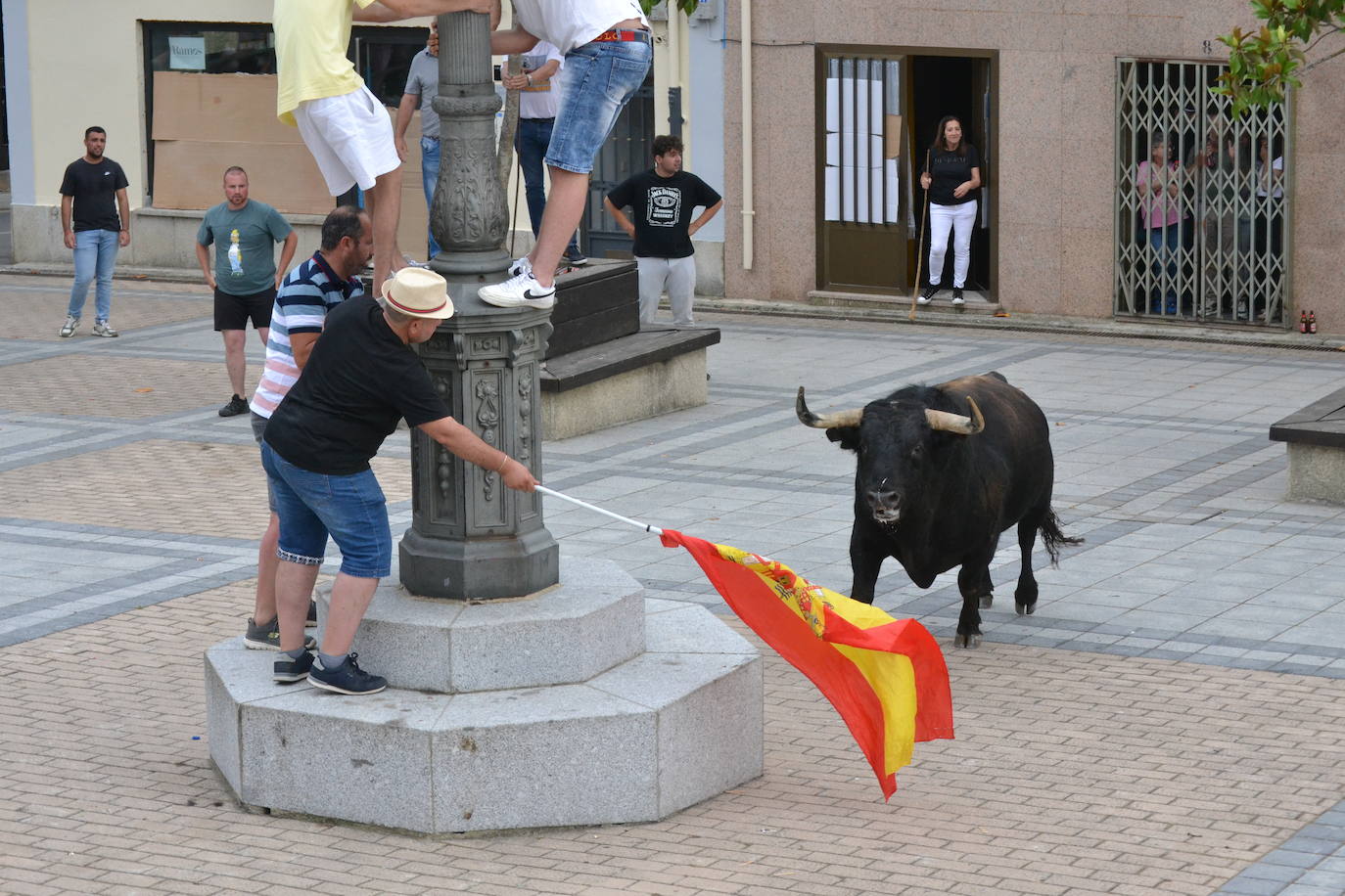 ‘Músico’ saca brillo al IX Toro de Cajón de Vitigudino