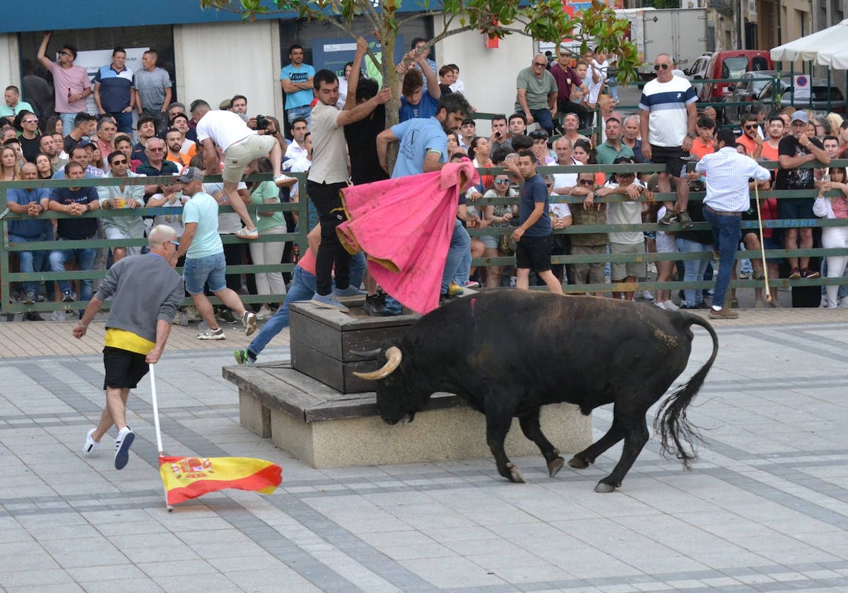 ‘Músico’ saca brillo al IX Toro de Cajón de Vitigudino