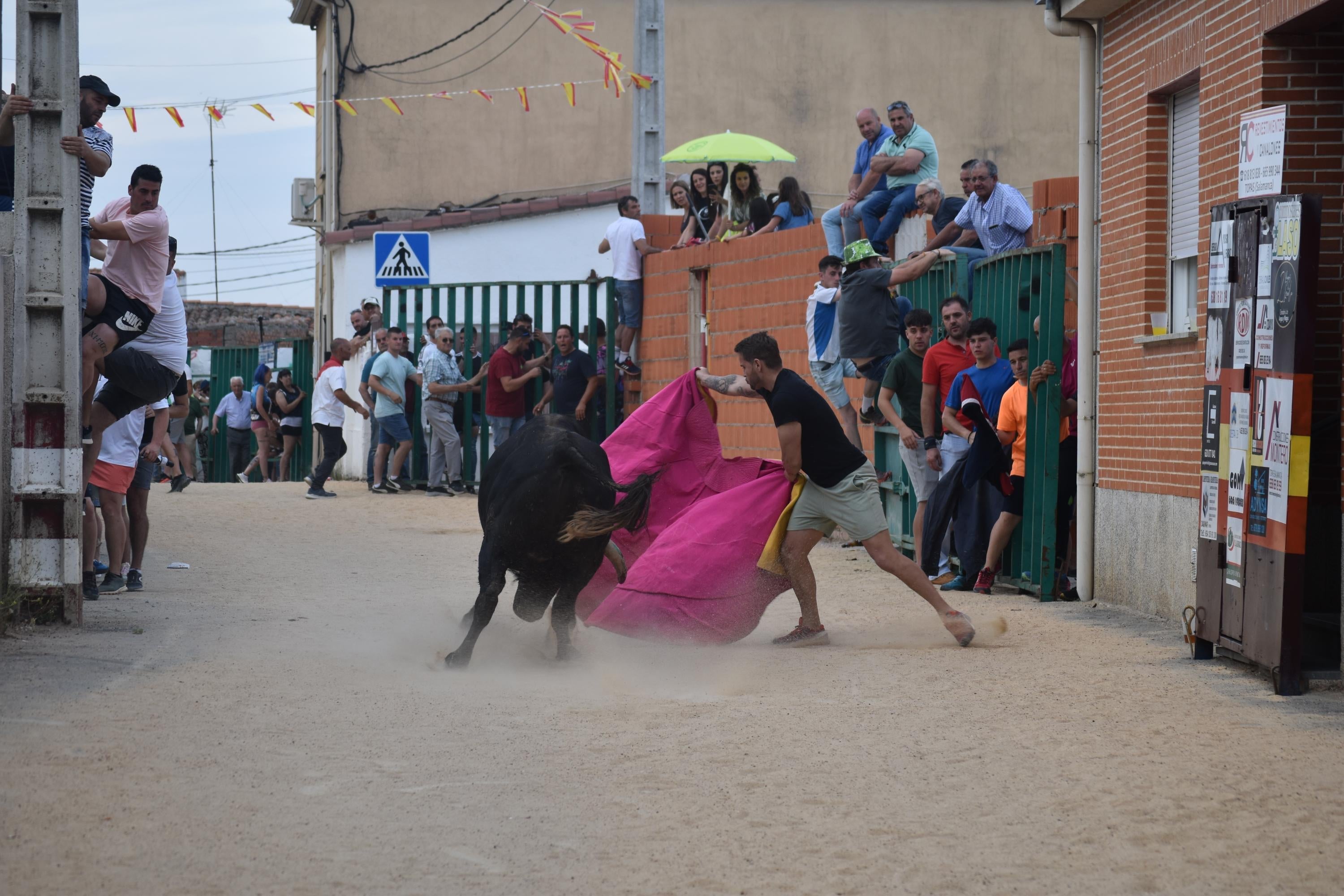 Pasión taurina en Topas antes de cerrar las fiestas en honor a San Antonio