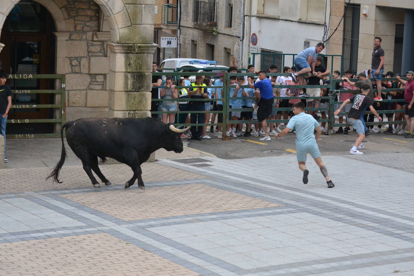 ‘Músico’ saca brillo al IX Toro de Cajón de Vitigudino